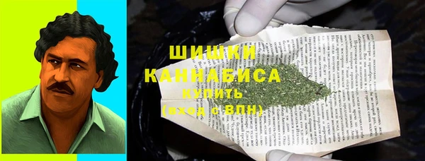 стаф Горняк