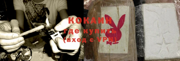 стаф Горняк