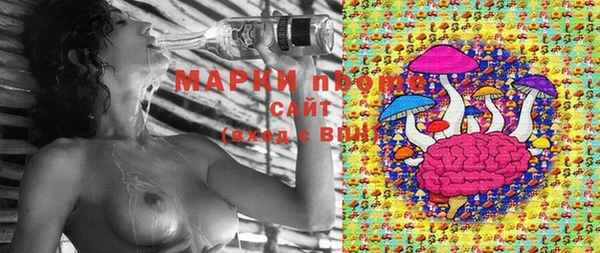 стаф Горняк