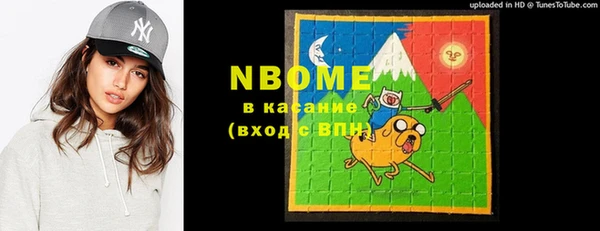стаф Горняк