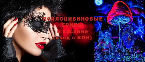 стаф Горняк