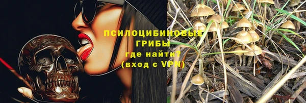 стаф Горняк