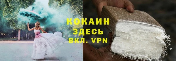 гидра Горно-Алтайск